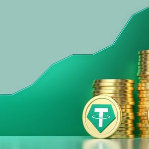 Decoding the Dominance: A Deep Dive into Ethereum and Tron’s Tether Wallets