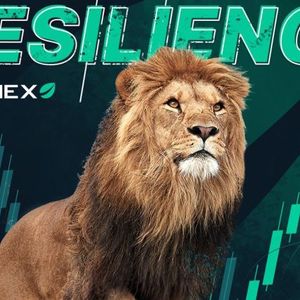 Bitfinex’s Resilience: Tracing its Transformation Throughout Crypto History