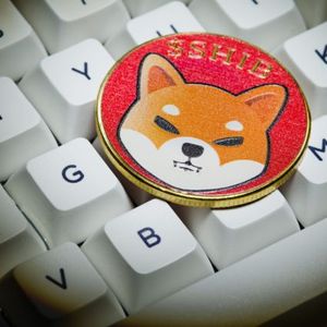 Biggest Movers: SHIB Plunges to Multi-Month Low on Monday