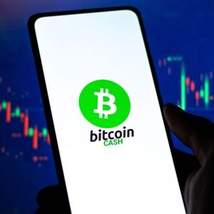 Biggest Movers: BCH, LINK Move to 6-Week Highs on Wednesday