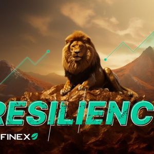 Bitfinex’s Role in Taming Crypto Market Volatility: Resilience at Its Core