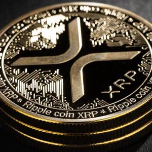 Spotlight on Ripple’s Elite: Unveiling the Top 10 XRP Wallets