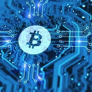 Biggest Movers: BCH, TRX Snap Losing Streak to Start the Weekend