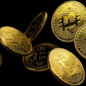 Bitcoin Ordinal Inscriptions Defy Downturn, Embark on Resurgence as Daily Counts Soar