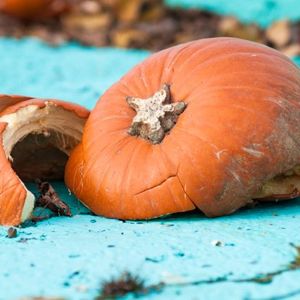 October’s NFT Market Contracts Over 21%, With Ethereum’s Share Shrinking by $35 Million
