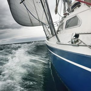 NFT Giant Opensea Retrenches an Unknown Number of Employees