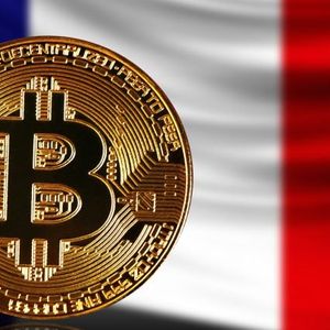 9% of French Adults Now Invested in Crypto Assets, AMF Survey Reveals