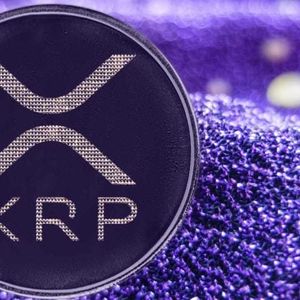 Blackrock Confirms News of XRP ETF Filing Is Fake