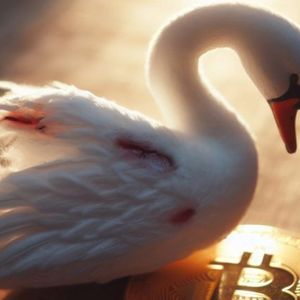 Swan Bitcoin to Terminate Accounts Interacting With Bitcoin Mixing Services