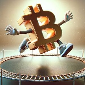 Bitcoin’s $30K Floor — Willy Woo’s Onchain Analysis Predicts Enduring Stability Above Threshold