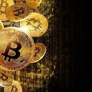 Bitcoin Transaction Fees Dip Amid November’s Surging Miner Revenues