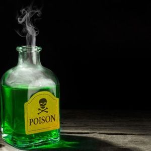 Kiyosaki on Deadly Economic Gamble, Vaneck’s Crypto Predictions — Week in Review