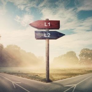 Bitcoin L2 Solutions Witness Decline, Lackluster Demand Despite Surging Transaction Fees
