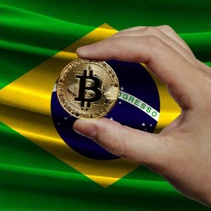 Central Bank of Brazil Opens Public Consultation on Virtual Assets Service Provider Rulemaking