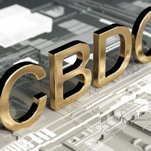 41% of Central Banks Expect to Have Operational CBDCs by 2028 — Study