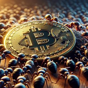 Study Observes Consolidation of Bitcoin Mining Rewards With Antpool