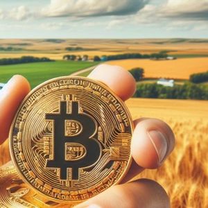 ‘Blockchain Basics Act’ Lands in Nebraska, 13 States to Introduce Crypto Legislation in 2024