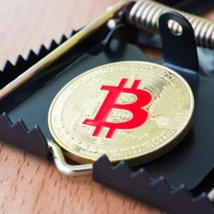 Australian Government Official to Question Regulator Over Its Failure to Warn Crypto Investors