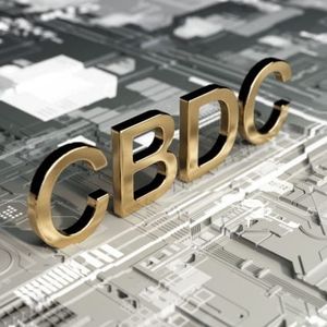 Report: Egypt Wants to Have a Functioning CBDC by 2030
