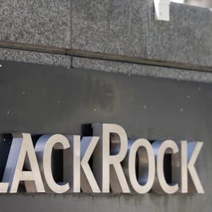 Blackrock’s Bitcoin ETF Attracts Diverse Investors, Secures 25,067 BTC in Holdings