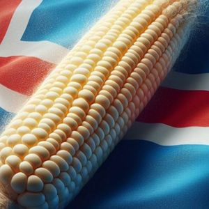 Iceland’s Prime Minister Vows to Prioritize Food Security Over Bitcoin