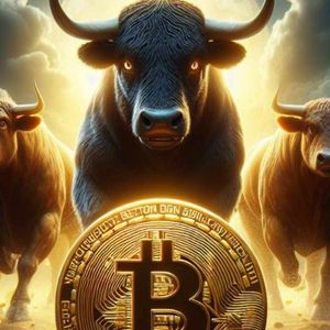 Bitwise Sees ‘Raging’ Bitcoin Bull Market — Expects April Halving to Be ‘the Most Impactful We’ve Seen”