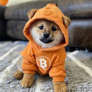 Marketplaces See Surge in Runes-Based DOG Token Trading, Market Cap Now at $319M