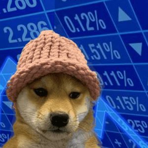 Dogwifhat and Bonk Prices Pull Back But Sealana Presale Hits $3M Mark