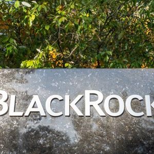 ETFs See 18 Days of Gains: Blackrock’s Bitcoin Holdings Surpass 300,000