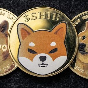 The Memecoin Frenzy Has Ignited a Scalability Arms Race