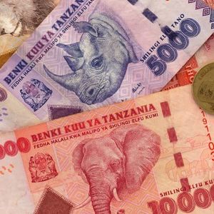 Tanzania Seeks to Shore up Local Currency With Directive Mandating Tourists to Use Shillings