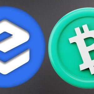 Crypto’s Top Gainers: Ecash and Bitcoin Cash Show Strong Weekly Rises