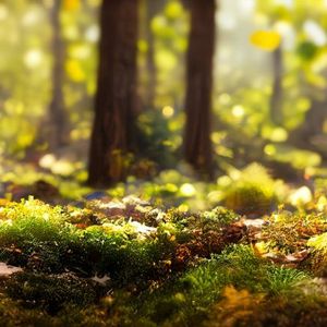 Verofax Partners With Climate Tech Firm Netgreen to Power Global Reforestation Efforts