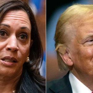 Coinshares Weighs Trump and Harris’ Impact on Bitcoin Ahead of 2024 Election