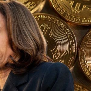 Kamala Harris’s Alleged ‘Crypto Reset’ Absent in Democratic Agenda