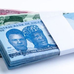 Nigerian Firms Forecast Further Naira Depreciation