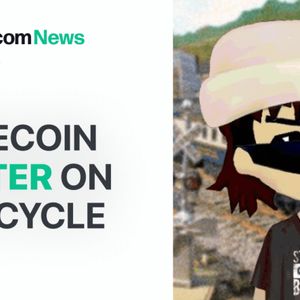 Memecoin Master Discusses Current Cycle