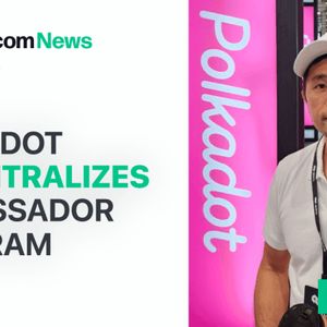 Polkadot Decentralizes Ambassador Program