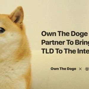 Own The Doge Partners With D3 To Apply For The .doge Top-Level Domain