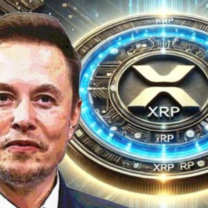 Tesla CEO Elon Musk Highlights XRP and Crypto Potential Amid Regulatory Heat