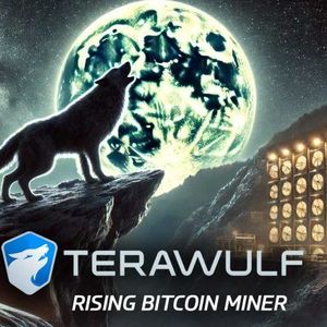 TeraWulf: Overview of a Rising Bitcoin Miner in 2024