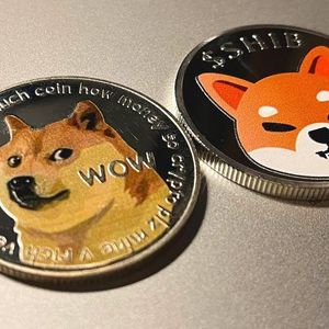 Dogecoin and Shiba Inu Pumping as Bitcoin Passes $75K, Flockerz Could Explode Next