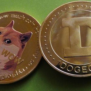 DOGE Nears 50 Cents as Meme Coins Dominate