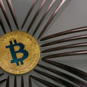 Cobra Warns of a New Bitcoin Soft Fork Next Year