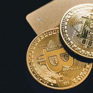 Meet Bitcoin’s Biggest Players: The Top 10 Holders Commanding Nearly 15% of the Circulating Supply
