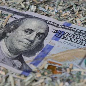 Peter Schiff Warns Bitcoin Could Be US Dollar’s Ultimate Downfall