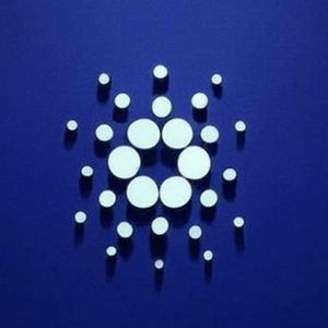 Cardano and Stellar Lead Altcoin Rally While Best Wallet Token Presale Hits $6.2M