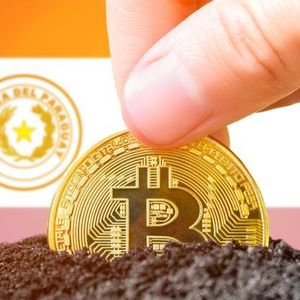 Hive Digital’s Paraguay Purchase to Quadruple Bitcoin Mining Capacity by Late 2025