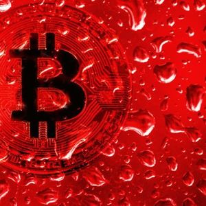 Bitcoin Price Analysis: Blood in the Water or the Perfect Buy Opportunity?