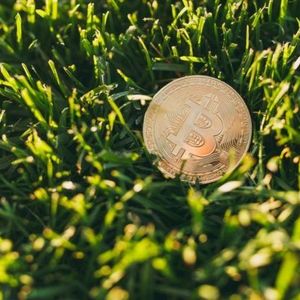 Exhausted? Hodl BTC and Touch Grass